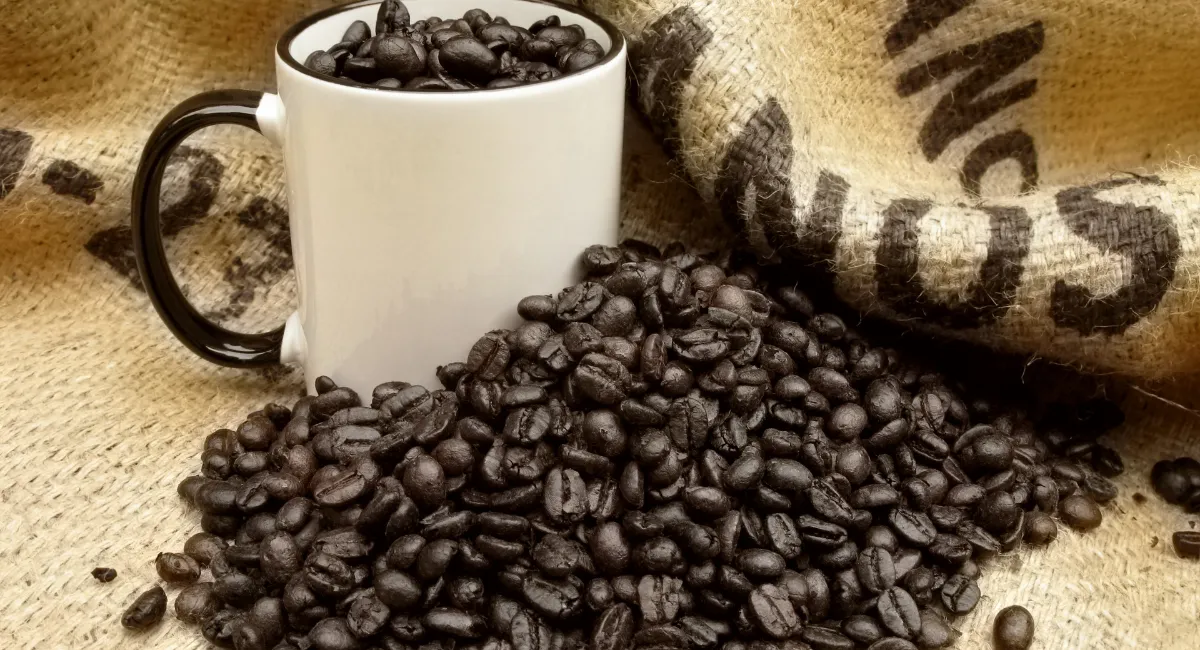 مقداری دانه قهوه رست دارک روی گونی قهوه و در داخل یک لیوان سفید