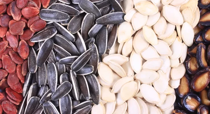 معرفی تخمه هایی که میشه موقع تماشای فوتبال خورد!