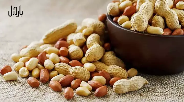 peanuts-inside-and-outside-a-bowl