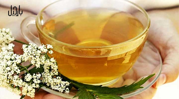 یک فنجان دمنوش سنب الطیب