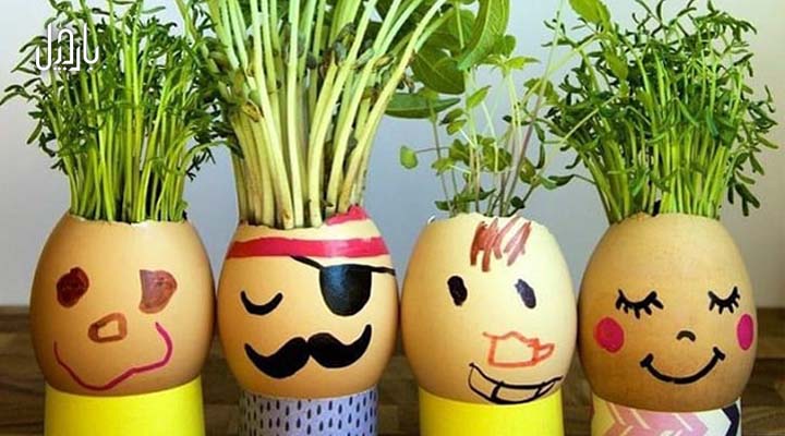 چند عدد سبزه عروسکی