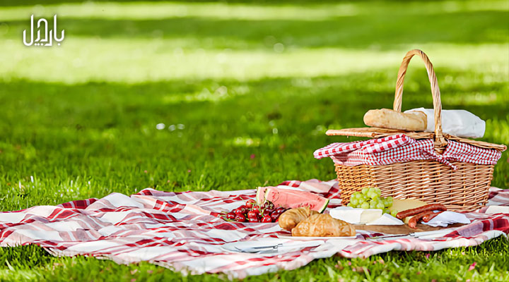 بهترین آجیل و خشکبار برای مصرف در پیک‌نیک‌های تابستانی
