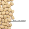 مغز بادام زمینی روکش‌دار هالوپینو بارجیل