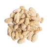 مغز تخمه روکشدار